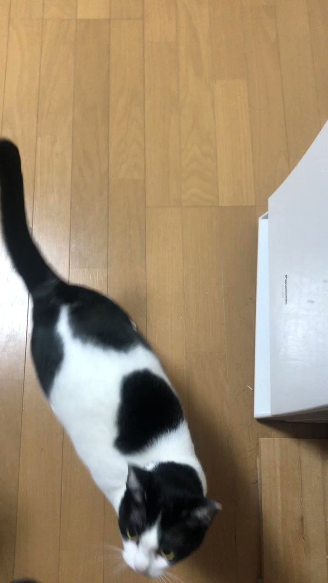 すこんぶページ 素今歩 | ハンドメイド専門店