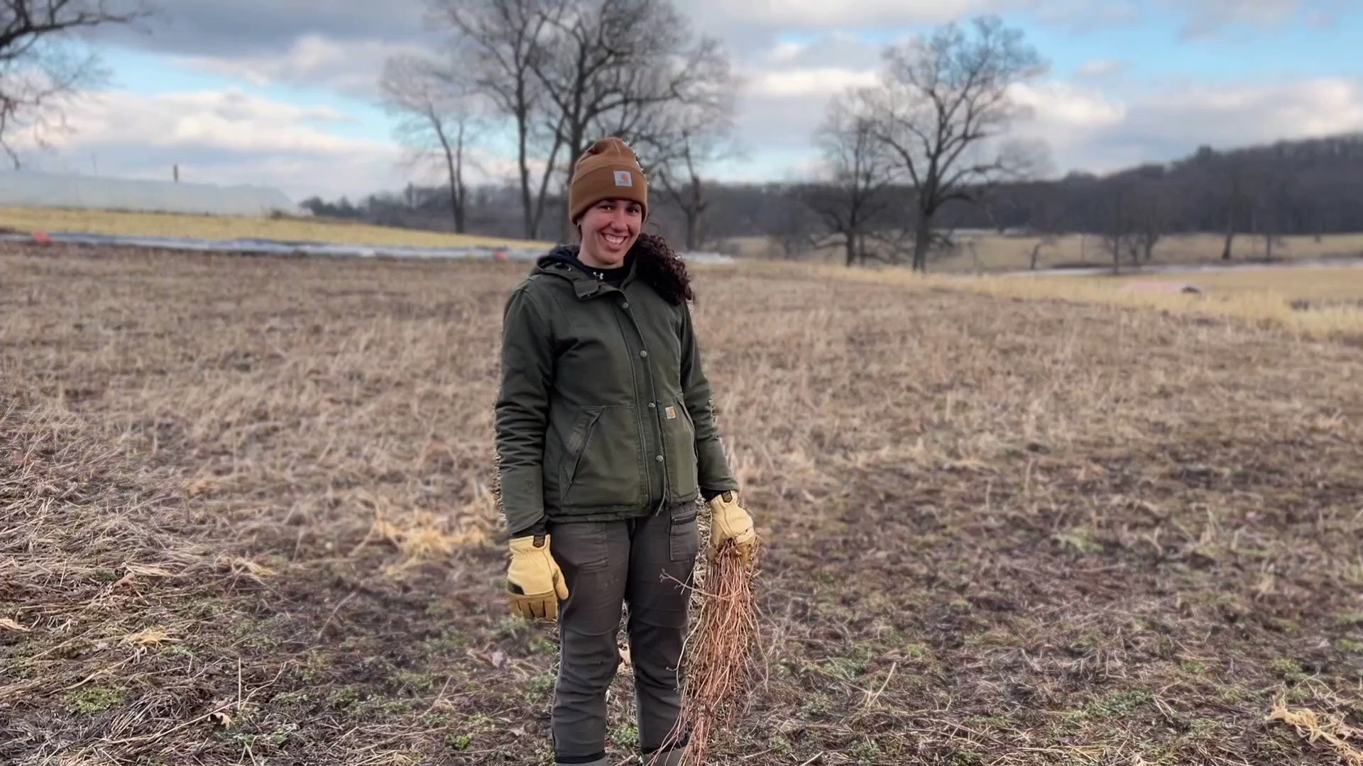 Herhaald Categorie Slechte factor Stone Barns Center on Twitter: "Stone Barns Center and Blue Hill staff have  been collaborating within the Innovation Labs to explore solutions to local  problems. Crops Farmer Grace Jorgensen worked in the