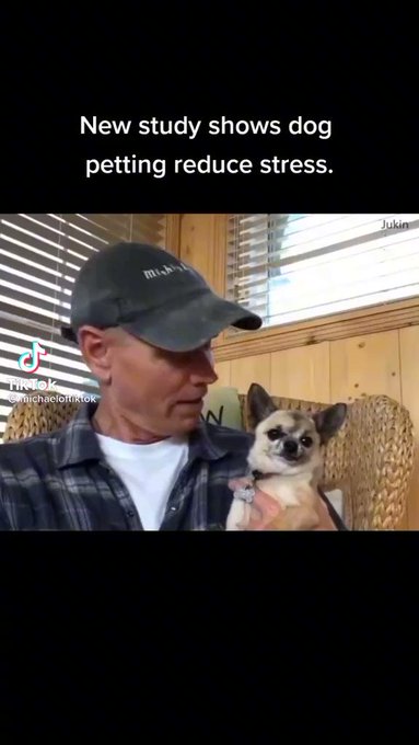 🤣 #tiktok #instagram #love #viral #like #memes #follow #explorepage #instagood #trending #explore #music<a href="/tag/tiktok"class="tags">#tiktok</a><a href="/tag/instagram"class="tags">#instagram</a><a href="/tag/love"class="tags">#love</a><a href="/tag/viral"class="tags">#viral</a><a href="/tag/like"class="tags">#like</a><a href="/tag/memes"class="tags">#memes</a><a href="/tag/instagood"class="tags"><span>#instagood</span></a><a href="/tag/fashion"class="tags"><span>#fashion</span></a><a href="/tag/cute"class="tags"><span>#cute</span></a><a href="/tag/follow"class="tags"><span>#follow</span></a><a href="/tag/music"class="tags"><span>#music</span></a><a href="/tag/art"class="tags"><span>#art</span></a>