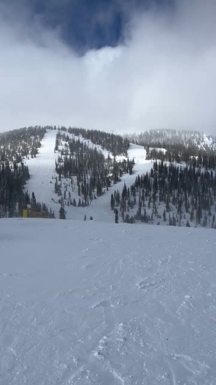 🟣 SynthHunter 🟣 (SynthHunter) / Twitter