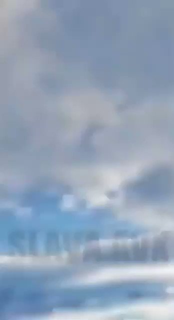 Embedded video