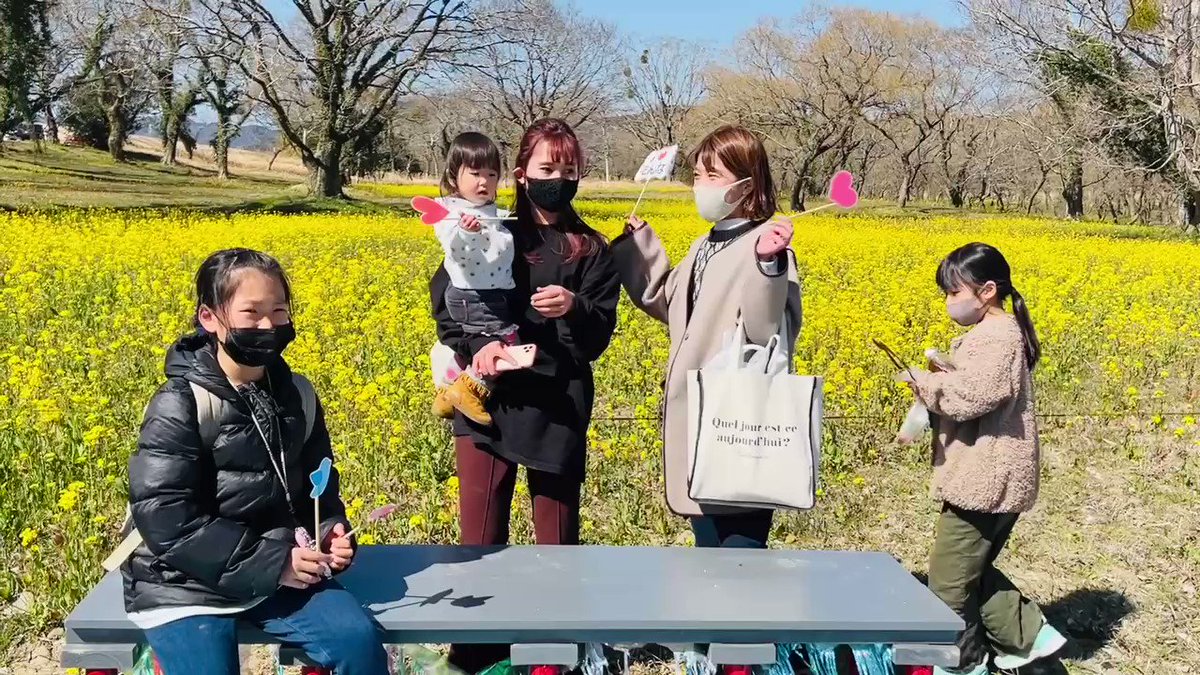 春めく季節。「四万十川 菜の花まつり」が開幕。ヤナギの木立（四万十市入田）に１０００万本の菜の花。「四万十市観光開き」では艶やかな三味線の音が赤鉄橋を彩る。黄色い花の湖が春風に波打つ。