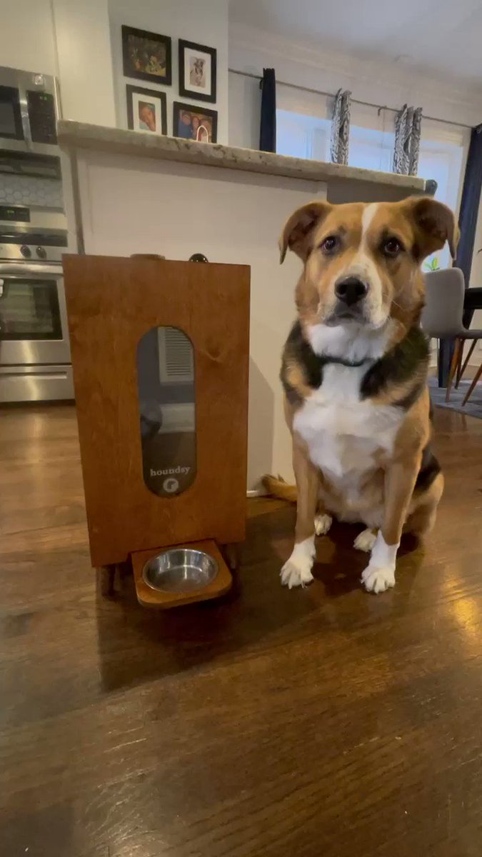 Dog Feeder - Houndsy Kibble Dispenser