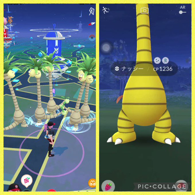 ポケモンgoで 色違いナッシー が話題に ポケgo トレンディソーシャルゲームス ポケモンgoで 色違いナッシー が話題に ポケgo トレンディソーシャルゲームス