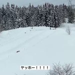 ツイートに含まれる画像