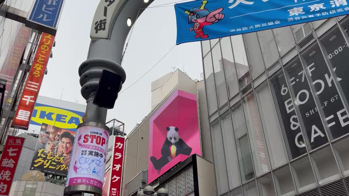 渋谷センター街に パンダ 渋谷区 渋谷区民ニュース 渋谷センター街に パンダ 渋谷区 渋谷区民ニュース