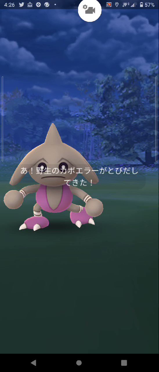 カポエラー色違い Twitter Search Twitter