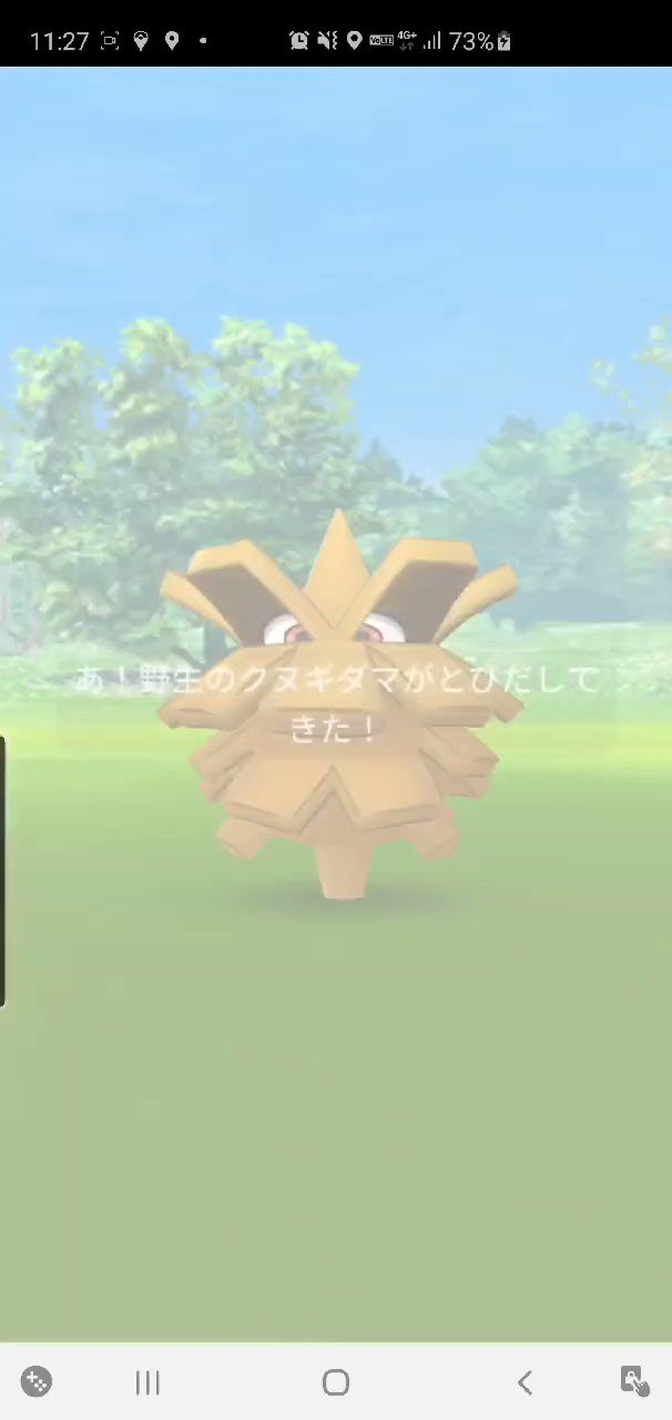 Hwz1999 花粉まみれ ポケモンgo クヌギダマ ジョウトツアー 色違い Shinypokemon T Co Tgykax36qc Twitter