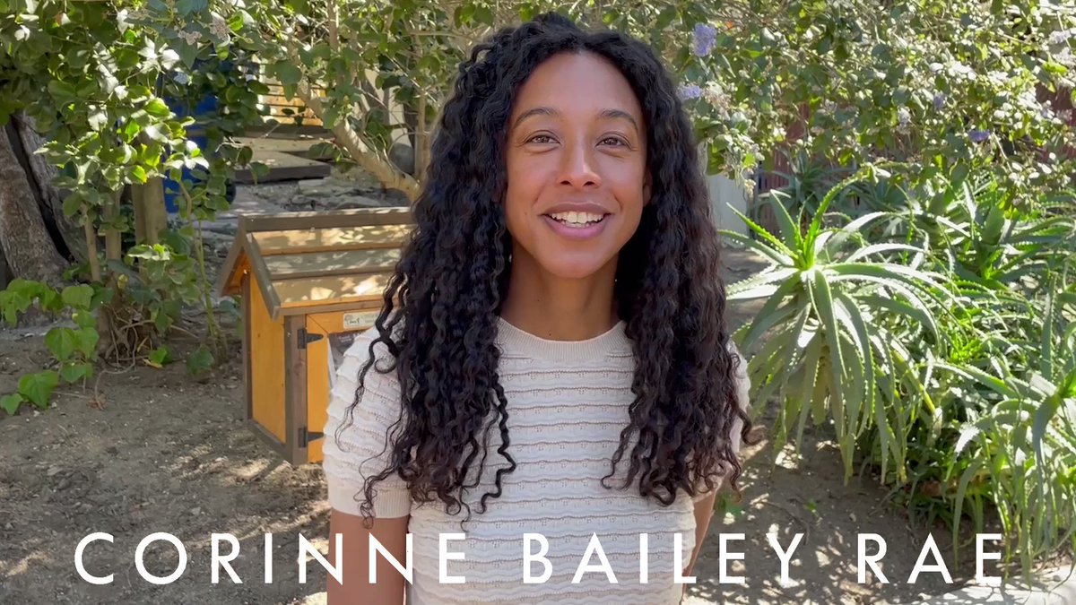 50%OFF】 Corinne Bailey Rae - The Sea mandhucollege.edu.mv
