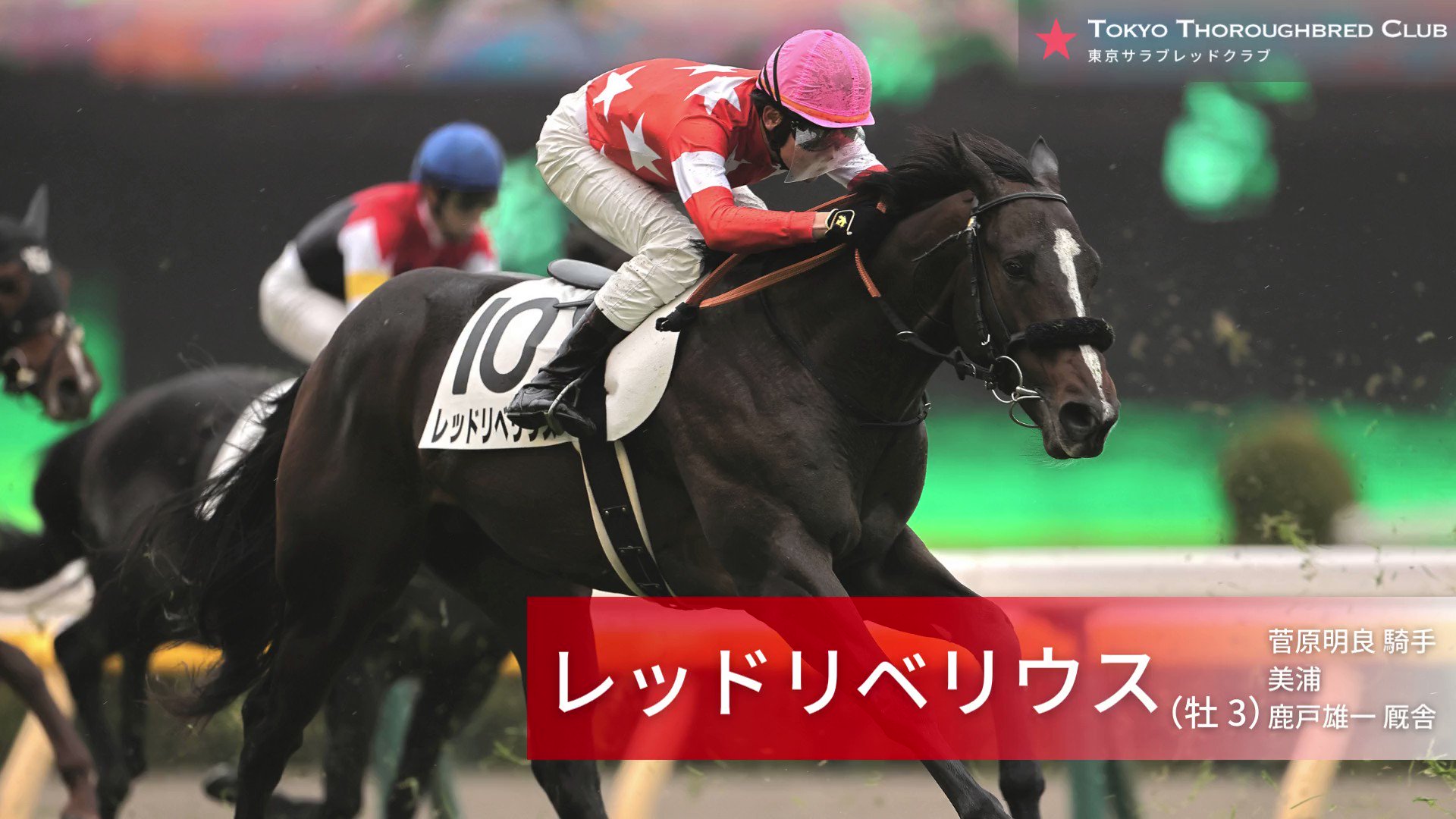 公式 東京サラブレッドクラブ Tokyotcofficial Twitter