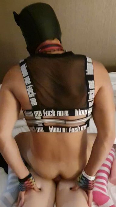 Took @PupTrace's top v-card. Gotta love the whimpers ??? https://t.co/JqZVSmm009