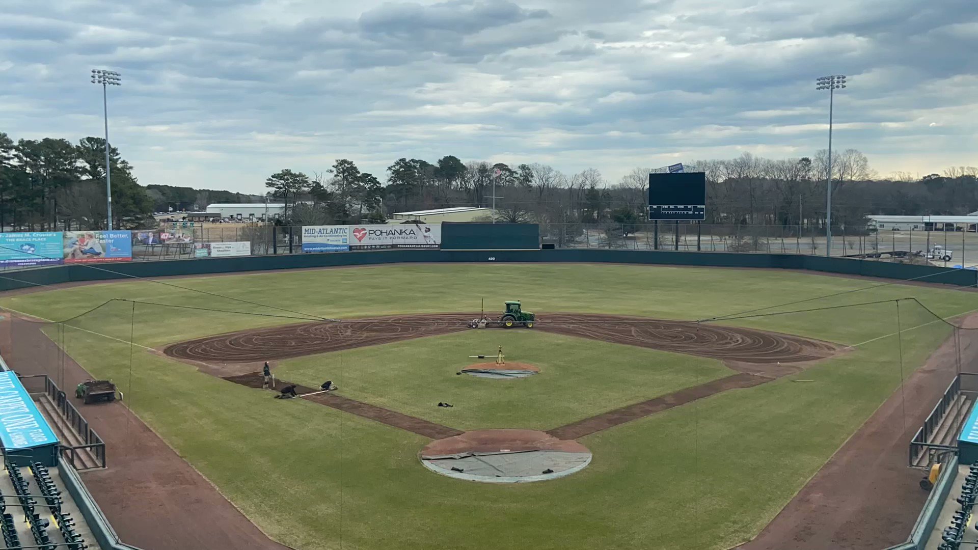 Delmarva Shorebirds on Twitter "A little bit of field work on this Fri