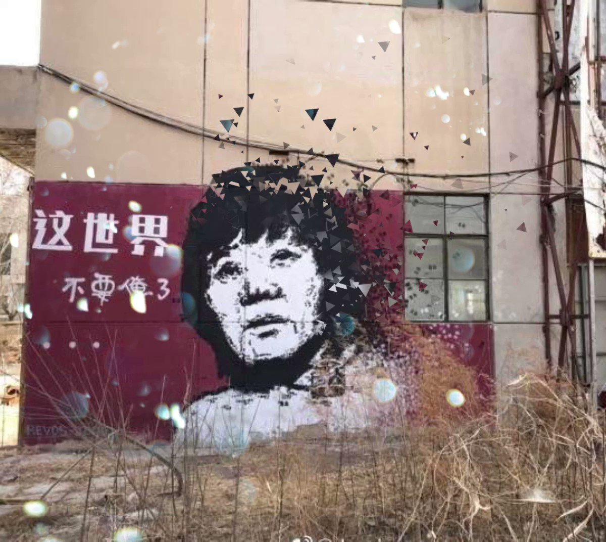 罗智莹暑假作業萝莉张婉莹
