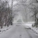 ツイートに含まれる画像