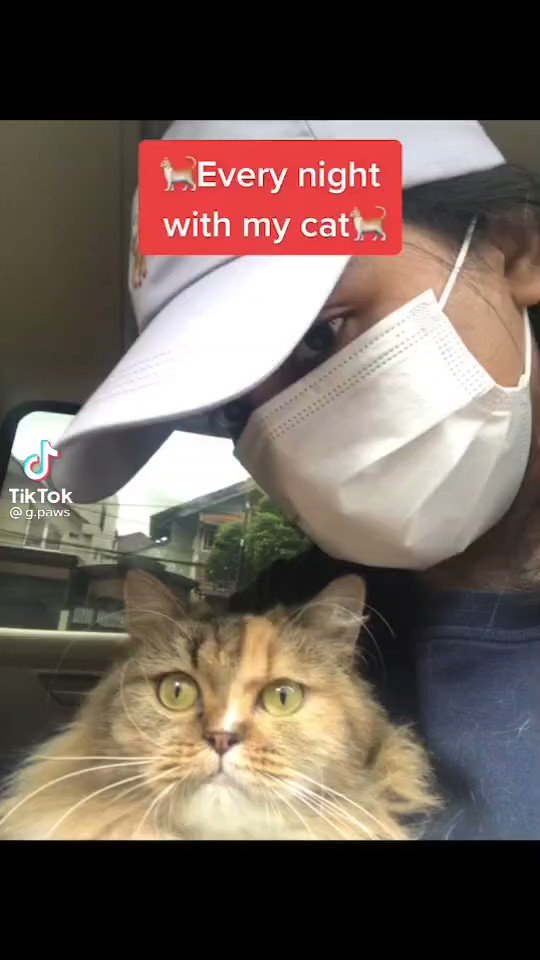 @kochengfess's video Tweet