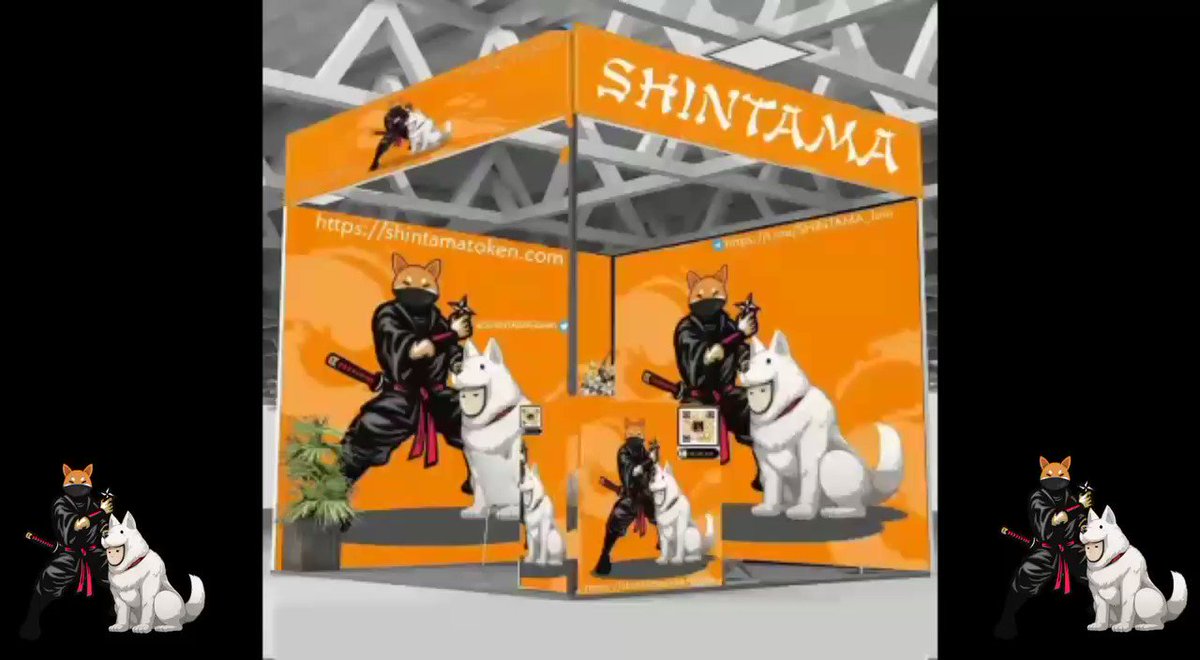 Shintama (@shintama_t) / Twitter
