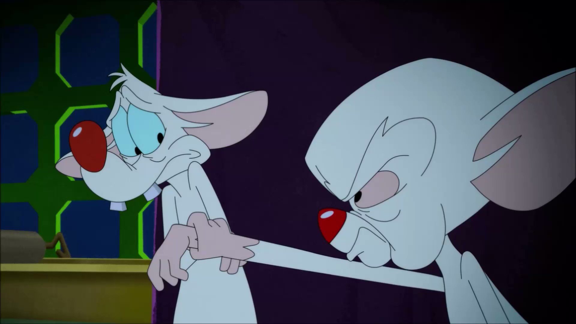 Happy Birthday to Rob Paulsen (and Pinky)! Hope this Narfday is a good one! 