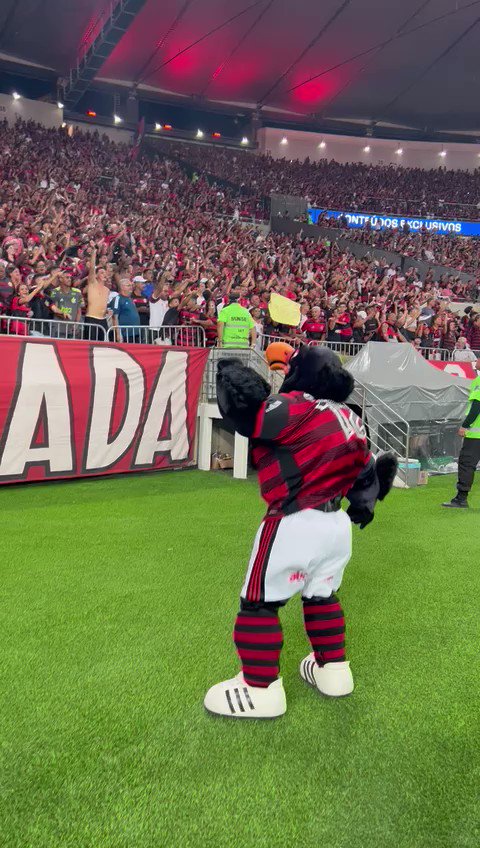 FERJ on X: PRA CIMA DELES Hoje, às 14h30, o @Flamengo, campeão