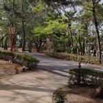 鹿児島 砂むし温泉 指宿白水館(Hakusuikan)のツイート画像