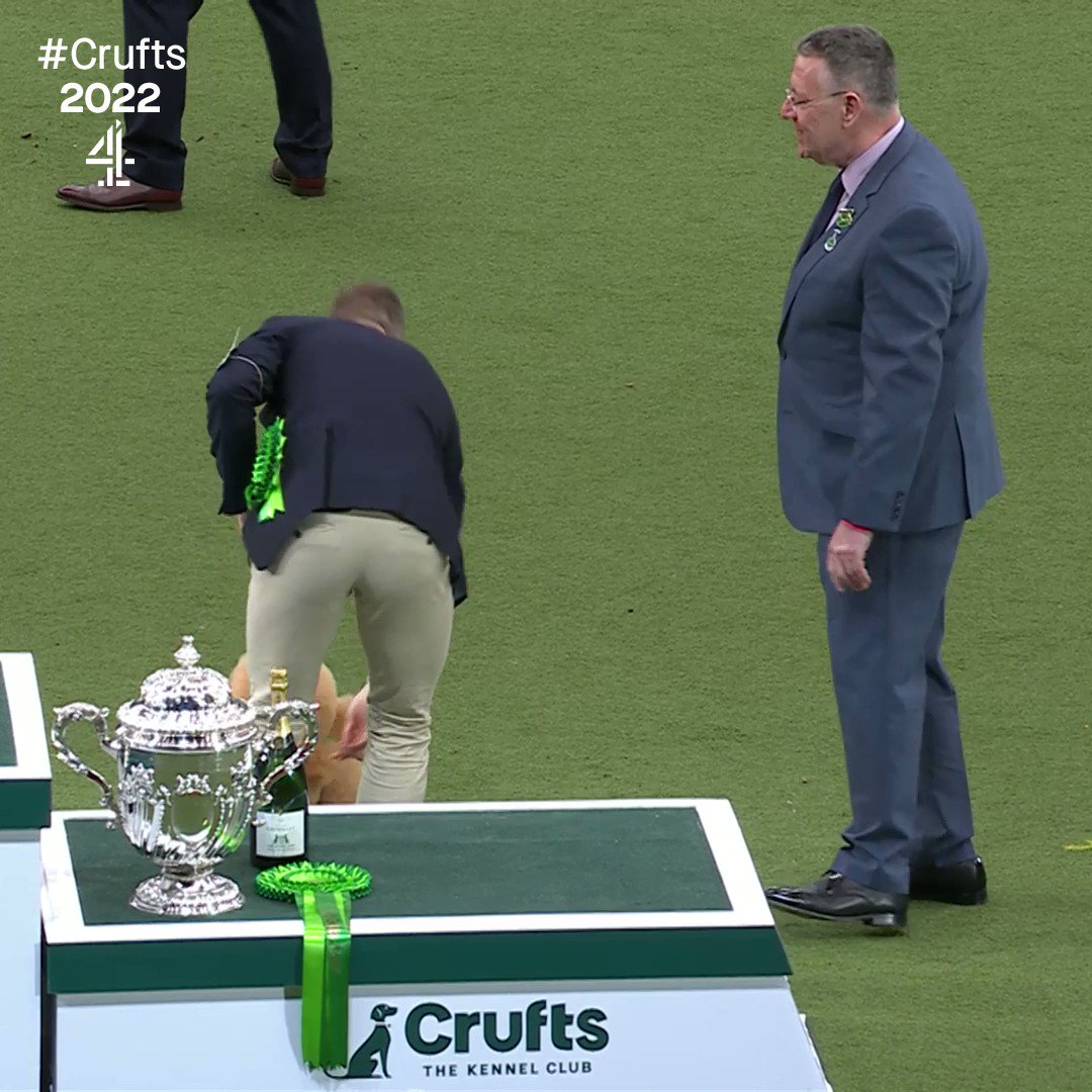 Crufts on Twitter "The result is in! Best in Show Crufts 2022 goes to