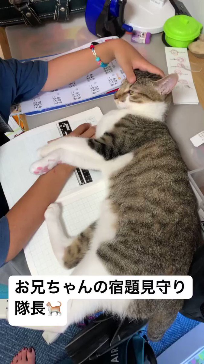Aiko S Optimal Today