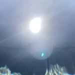 浅川 拓人(住所不定無職日本一周中🇯🇵)のツイート画像