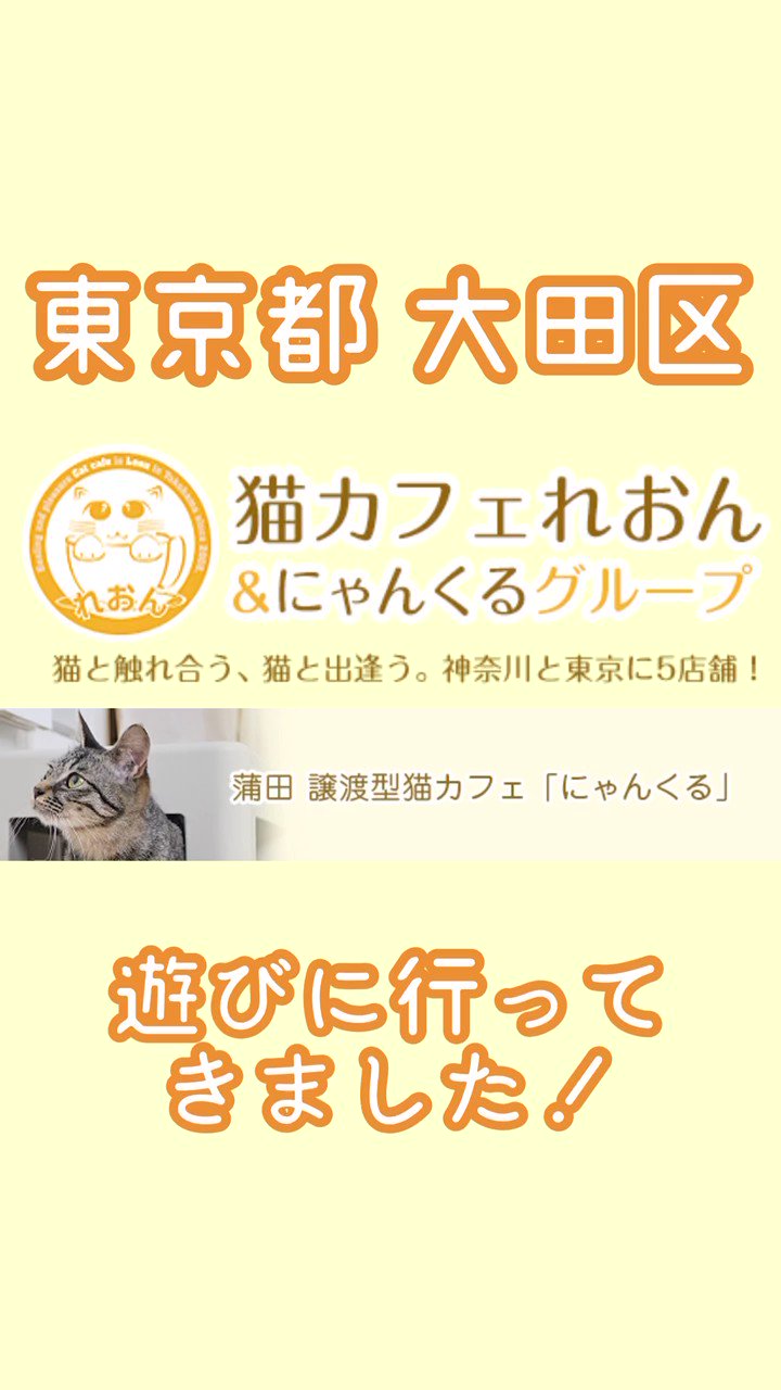 大條瑞希 東京都 蒲田駅の西口から歩いてすぐ 譲渡型猫カフェ にゃんくる 蒲田店さん Nyankuru へお邪魔してきました カフェスペースと猫スペースが完全に分かれているので 猫アレルギーさんにも優しいお店 ドリンクメニューが豊富 ココアを