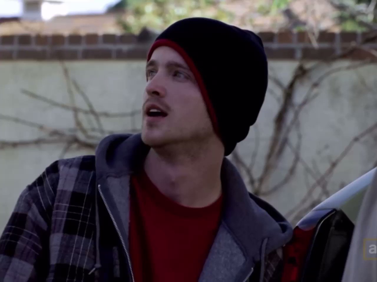 beanie jesse pinkman