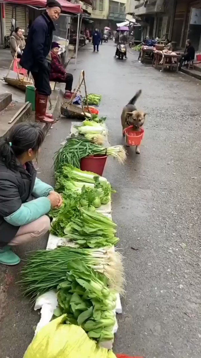 Mi ammazzo guardate è tornato al mercato per comprare la verdura 