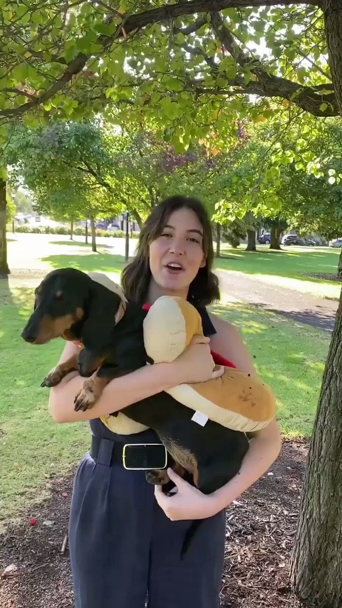 Happy democracy day! We consulted the wise oracle, Eva the democracy dog on who is going to come out on top this election, Marshall or Malinauskas, and her answer may surprise you! https://t.co/p4y69J9CKw https://t.co/UtHZoD5td5