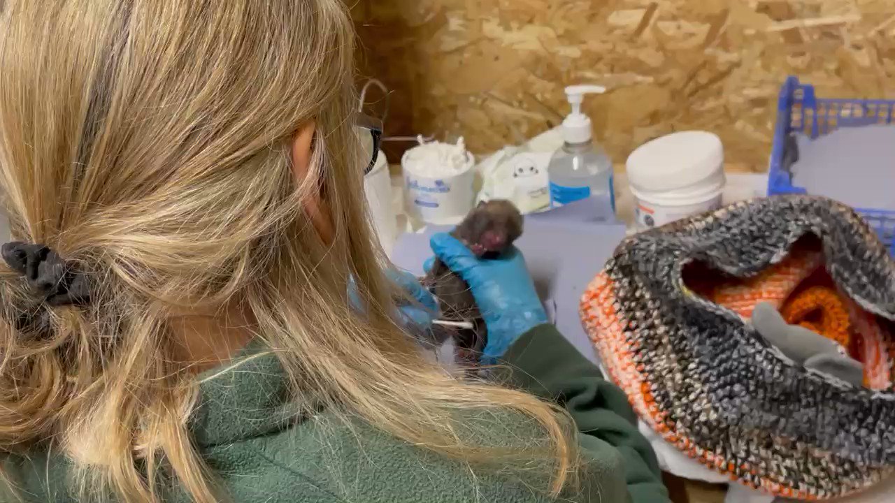 Chalfont Saint Giles, South East / Twitter