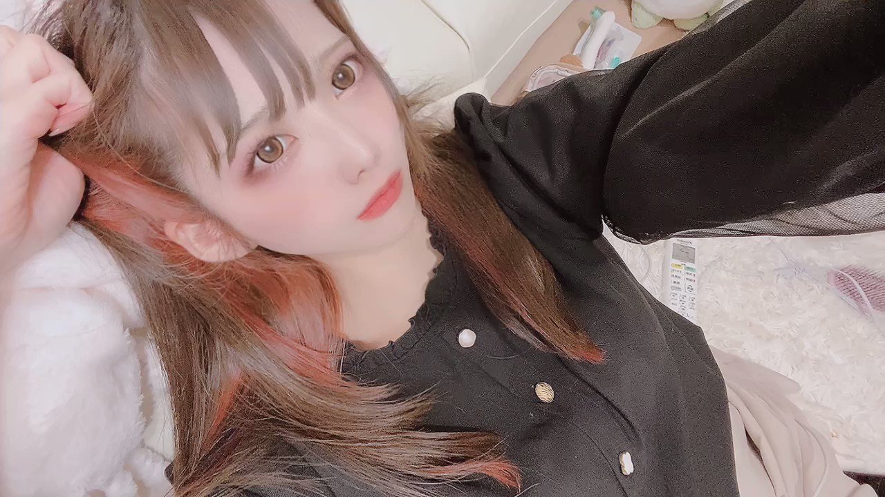 みーねこ みけねこ。 on X: 