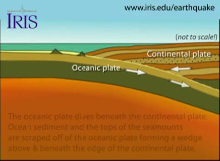Denser oceanic plate dives beneath the continental plate. The plates are locked by high friction. Over time, friction is overcome in process called elastic rebound. Sudden movement of overlying plate generates a tsunami.

https://t.co/x8cSAohiNO https://t.co/1peGbymR8E