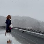 ツイートに含まれる画像