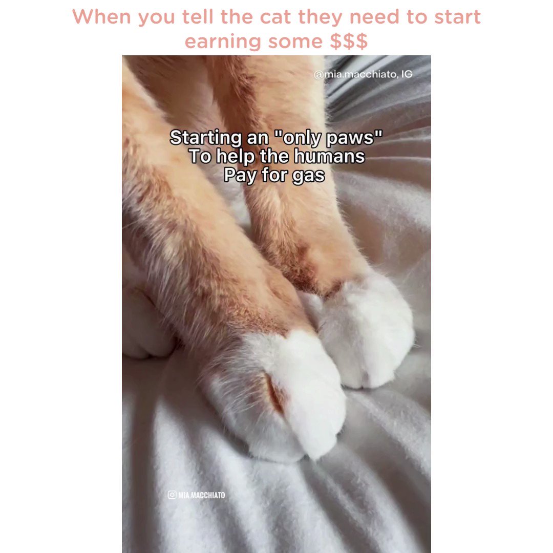 Nike 'Just Do It' Cat Memes That Will Make Your Caturday – Meowingtons