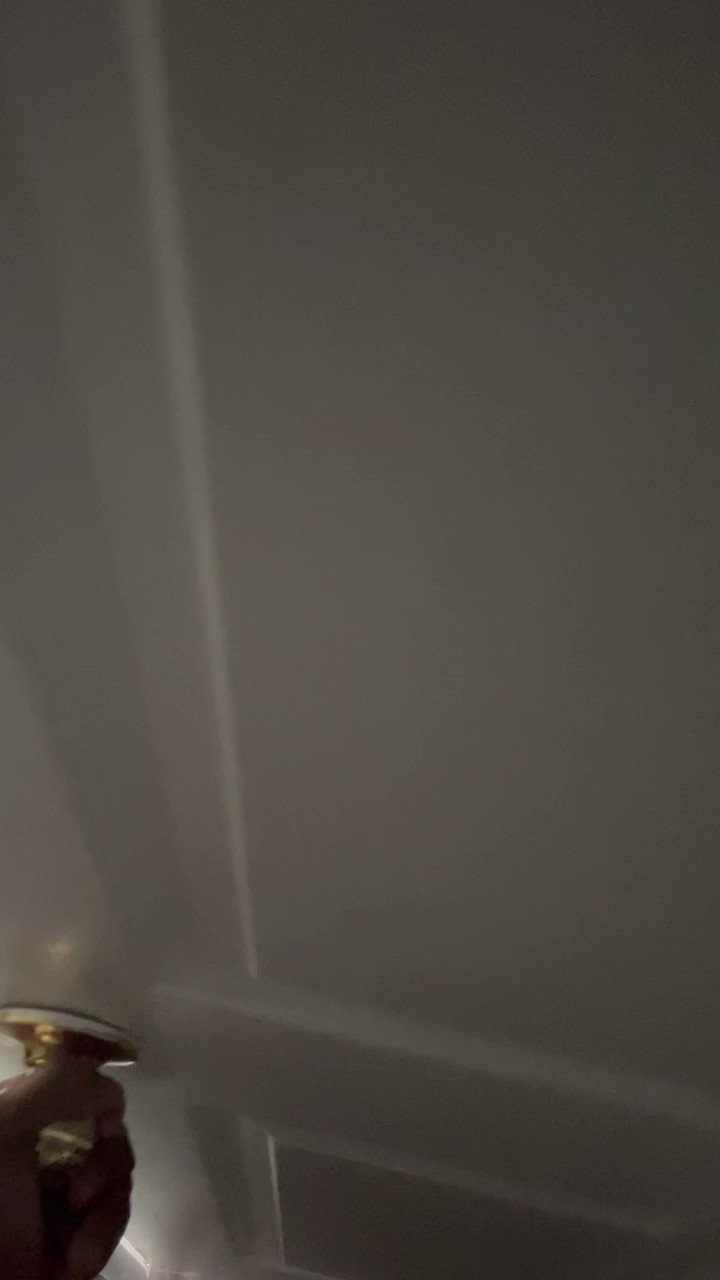 cam🦭 on Twitter "got my cats to handle my light work https//t.co