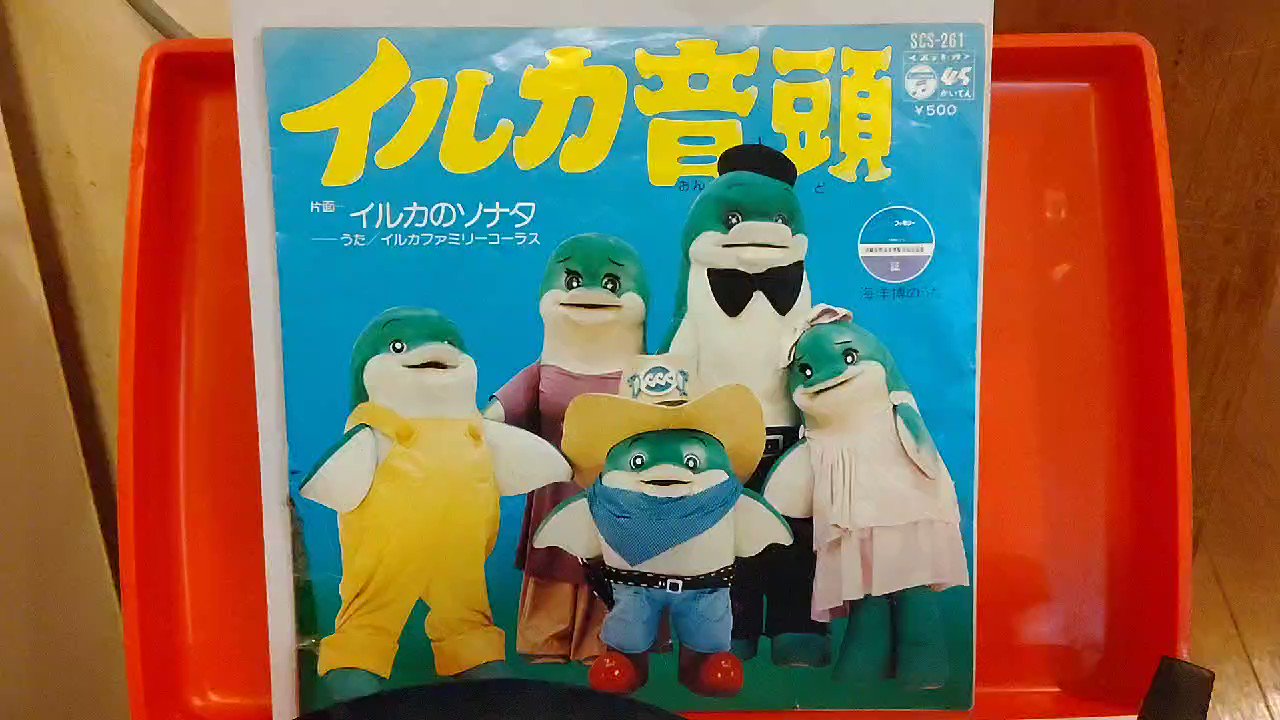 イルカ LPレコードセット LPレコード サザン/安全地帯/ハイファイセット/135/中村雅俊