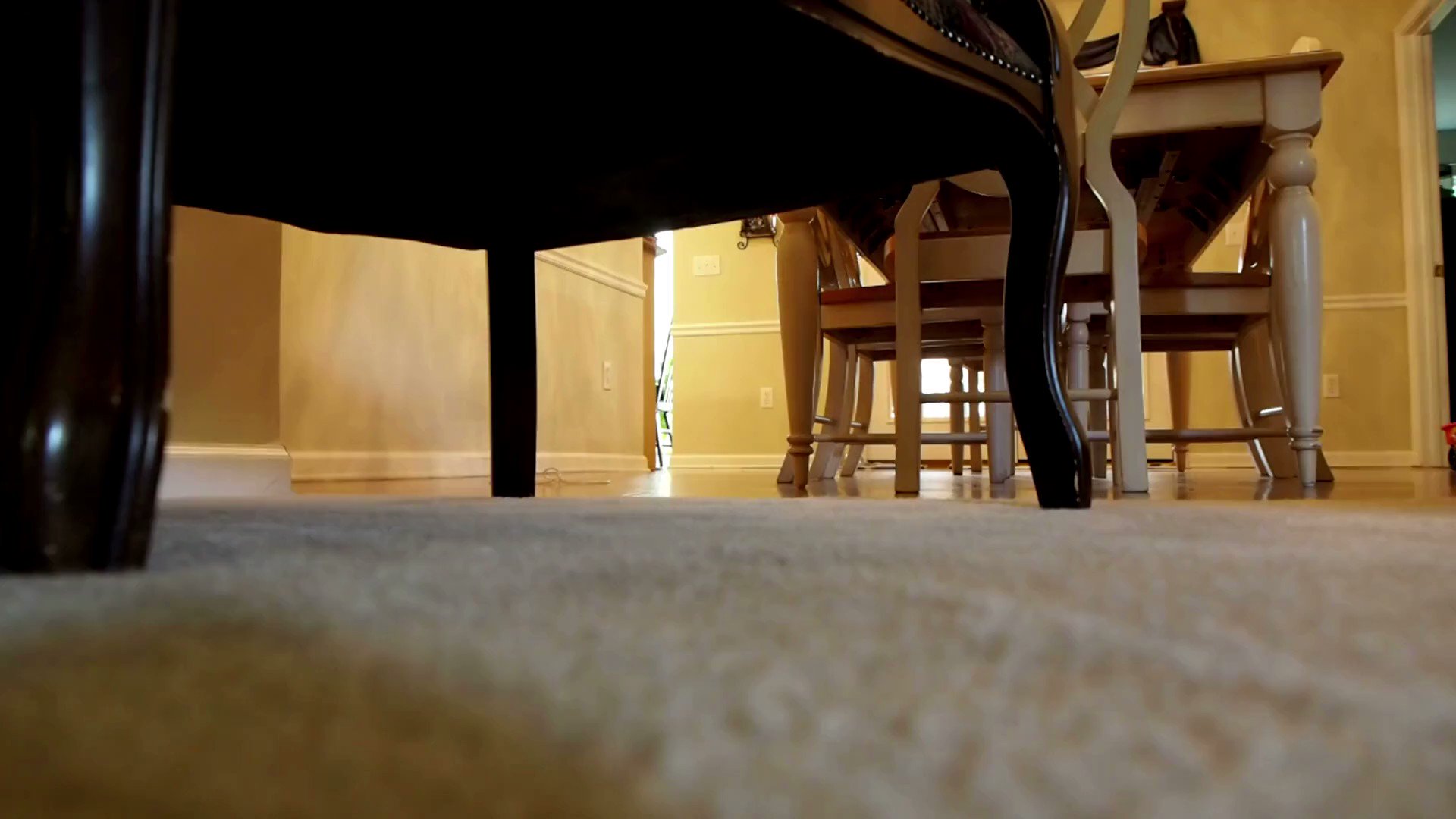 John's Carpet Cleaning Brick NJ (BrickCarpet) / Twitter