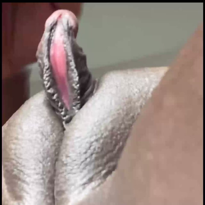 New fav angle 🫦💦😝 Txt me 4705491916 #bigclit #hugeclit #bigclitoris #clit #clits #clitvideo #clitpics<a href="/tag/bigclit"class="tags">#bigclit</a><a href="/tag/hugeclit"class="tags">#hugeclit</a><a href="/tag/closeup"class="tags"><span>#closeup</span></a><a href="/tag/sex"class="tags"><span>#sex</span></a><a href="/tag/porn"class="tags"><span>#porn</span></a><a href="/tag/kinky"class="tags"><span>#kinky</span></a><a href="/tag/pussy"class="tags"><span>#pussy</span></a><a href="/tag/f"class="tags"><span>#f</span></a><a href="/tag/lesbian"class="tags"><span>#lesbian</span></a>