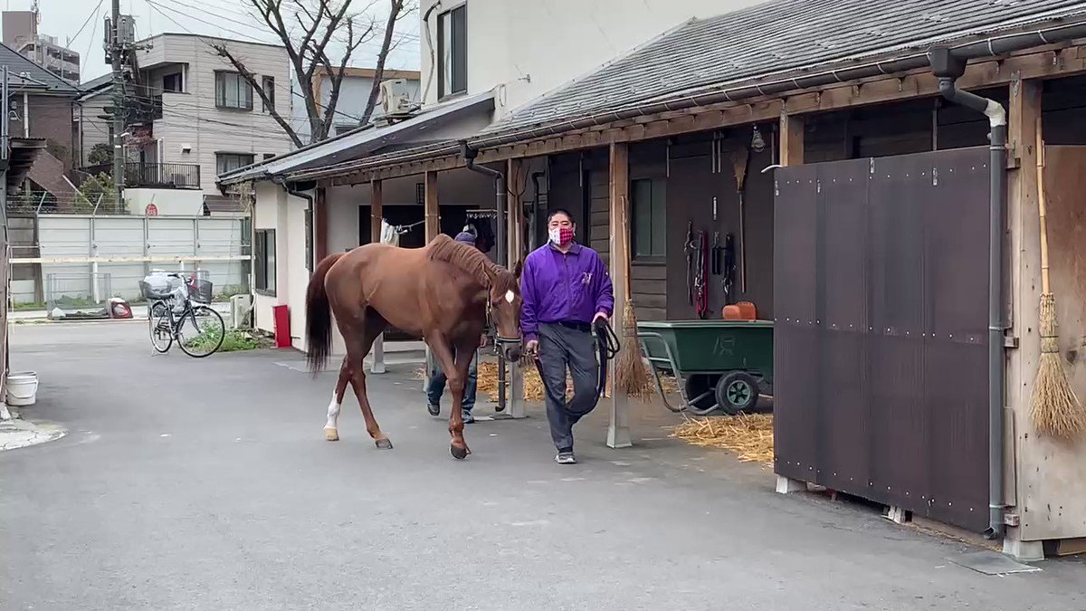 わぁー🌸エレガントヴォイスさん🐴
アンちゃんと一緒🐴🐴♦️ 