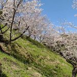 鹿児島 砂むし温泉 指宿白水館(Hakusuikan)のツイート画像