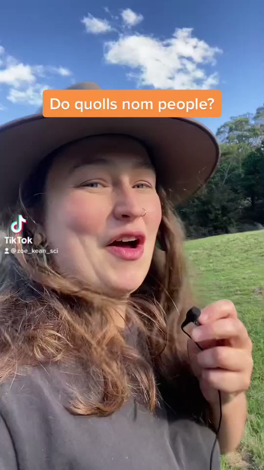 Leon Compton / Twitter