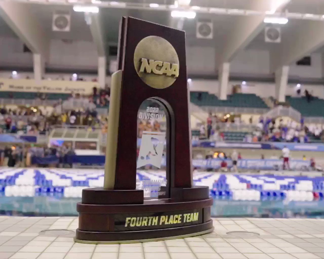 Nc State Swimming And Diving On Twitter What A Way To End The Season🏆