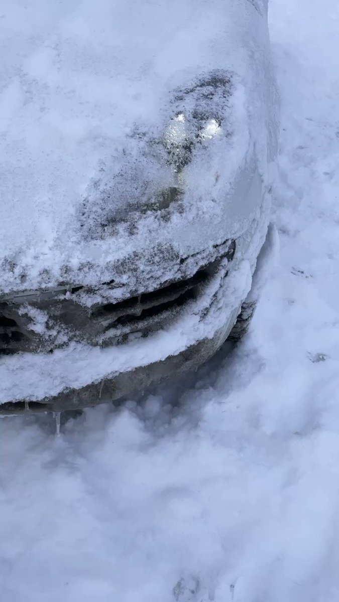 Basri Tokgöz’s pics and videos