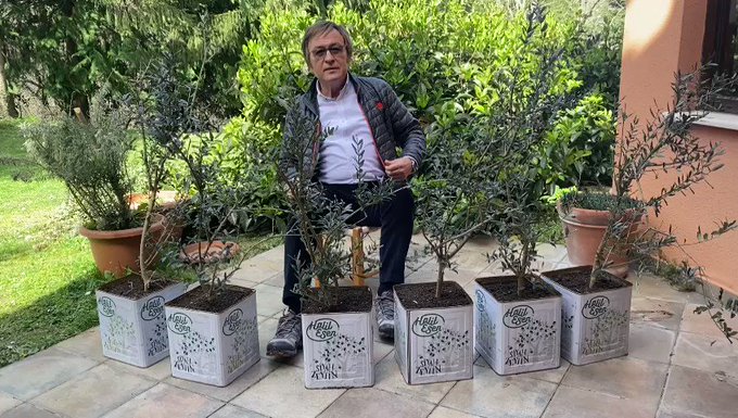 Yerleştirilmiş video