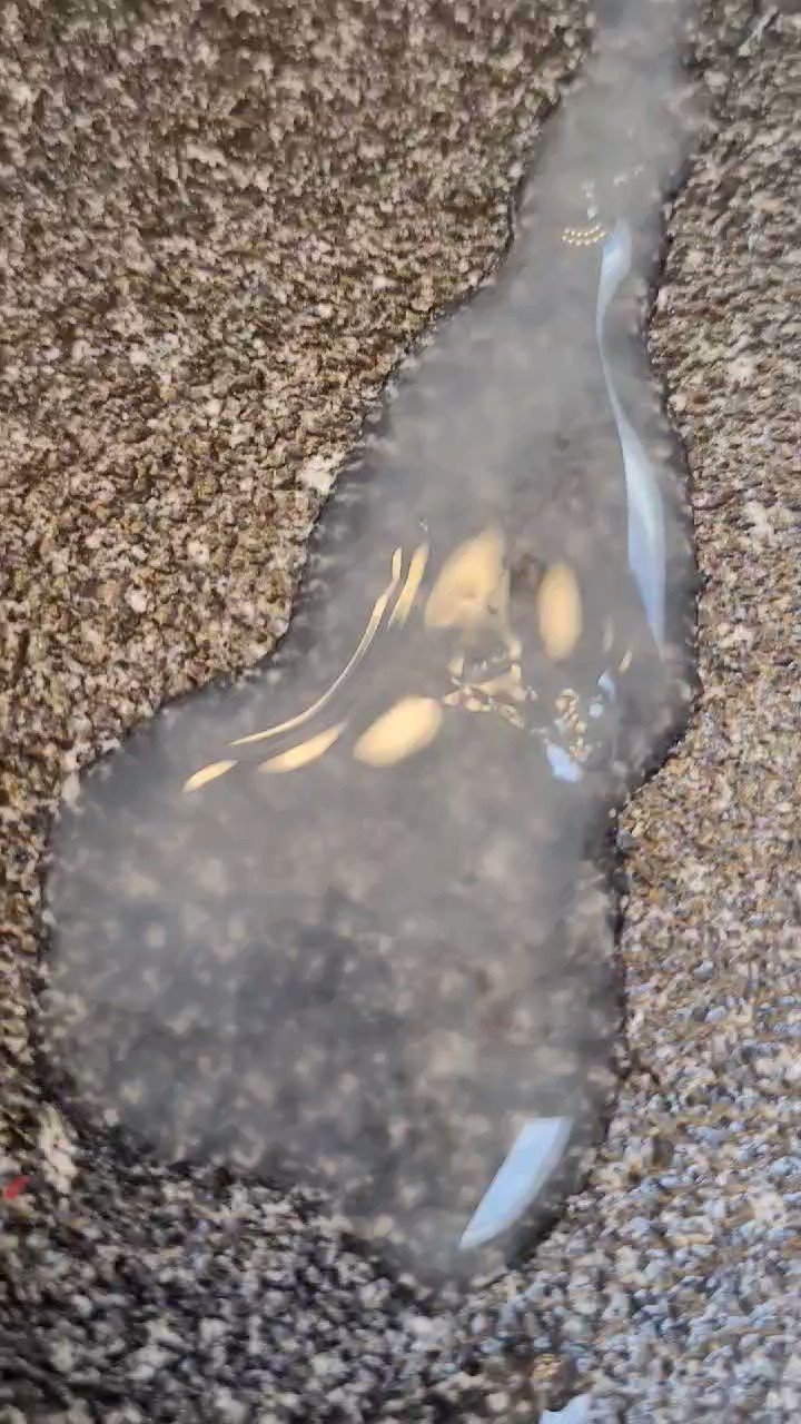 GrabDriverBarry ( 140K ) on X: Request vidjakol-TG subcribets Opss! 117  videos at 150 photos na pala ang TG ko. sa mga interested to avail Dm lang  po. t.cog83QtSNadi  X