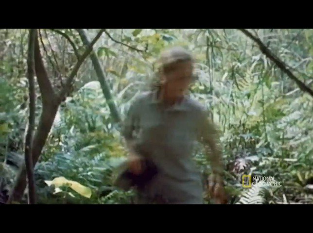 Happy birthday Jane Goodall    