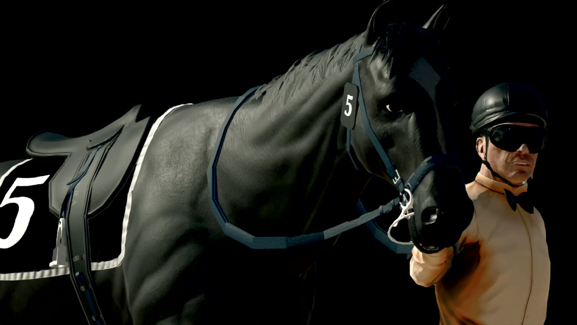 Solanaut Stables (@SolanautStables) / Twitter