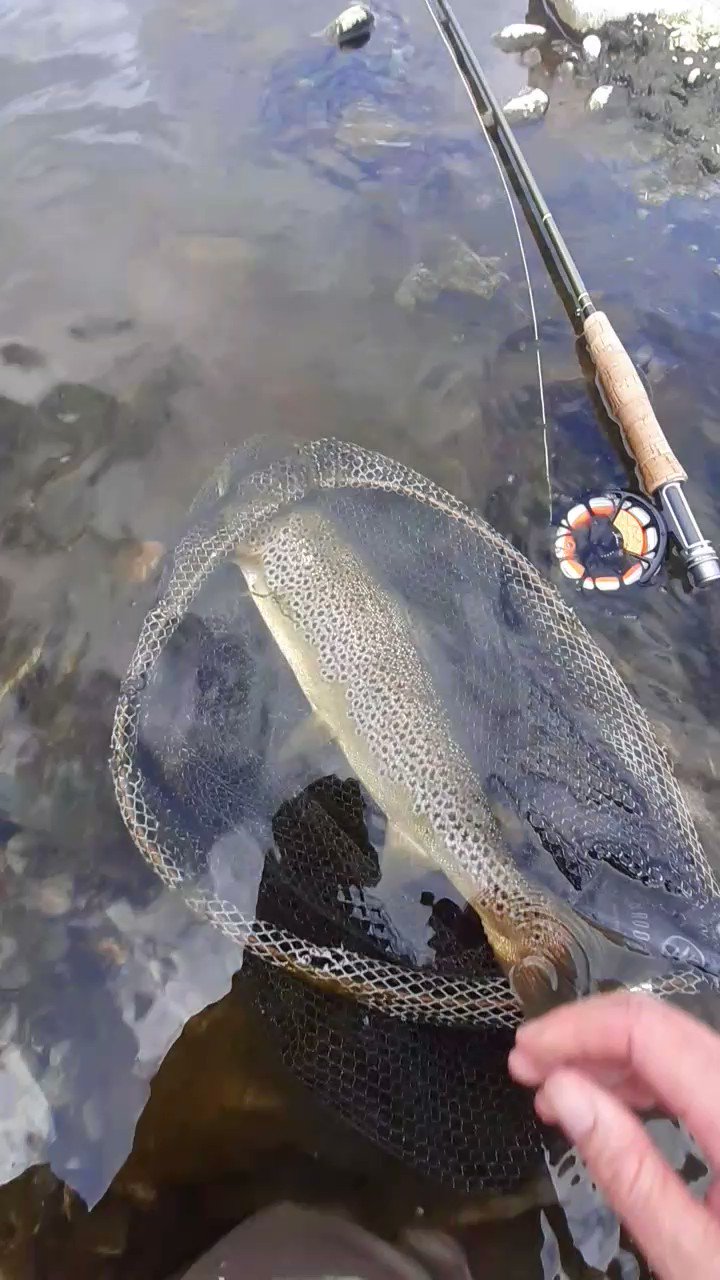 Paul Procter FlyFish (paulprocter) / Twitter