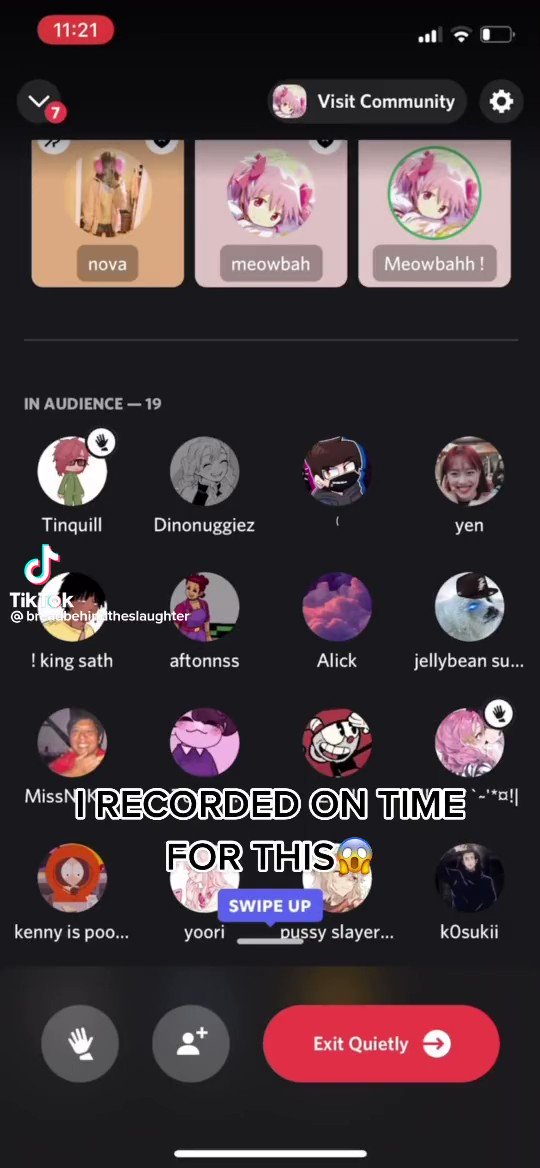 How to call meowbahh discord｜TikTok Search